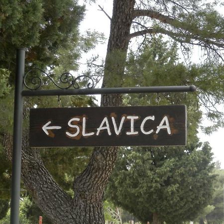 Apartment Slavica Lozovac Εξωτερικό φωτογραφία