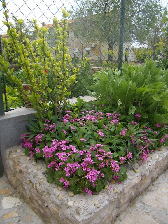 Apartment Slavica Lozovac Εξωτερικό φωτογραφία