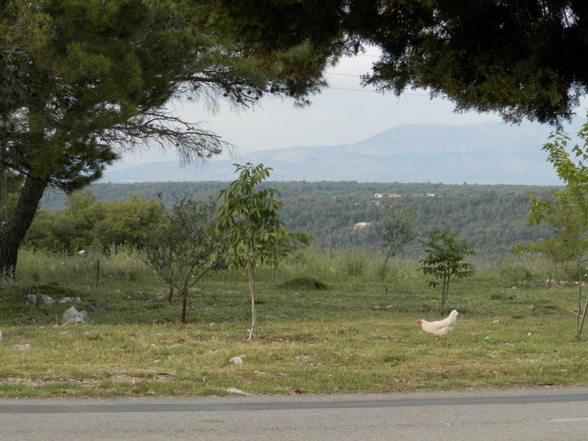 Apartment Slavica Lozovac Εξωτερικό φωτογραφία